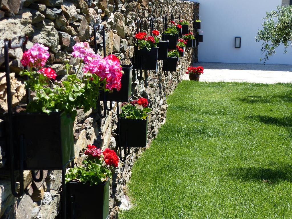Casa Das Castas Wine Guesthouse Vermiosa Zewnętrze zdjęcie