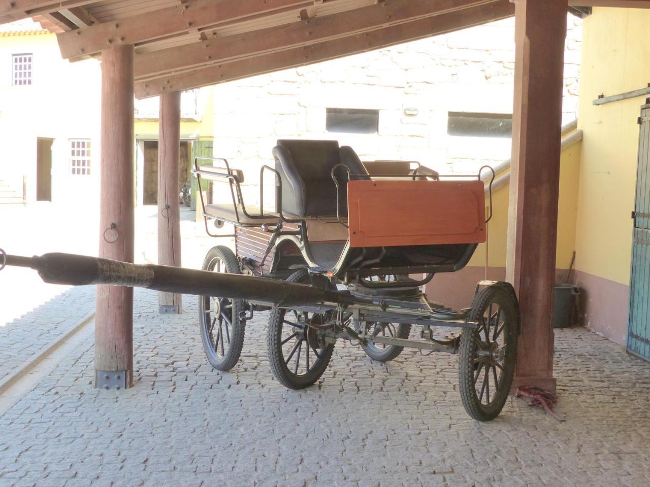 Casa Das Castas Wine Guesthouse Vermiosa Zewnętrze zdjęcie